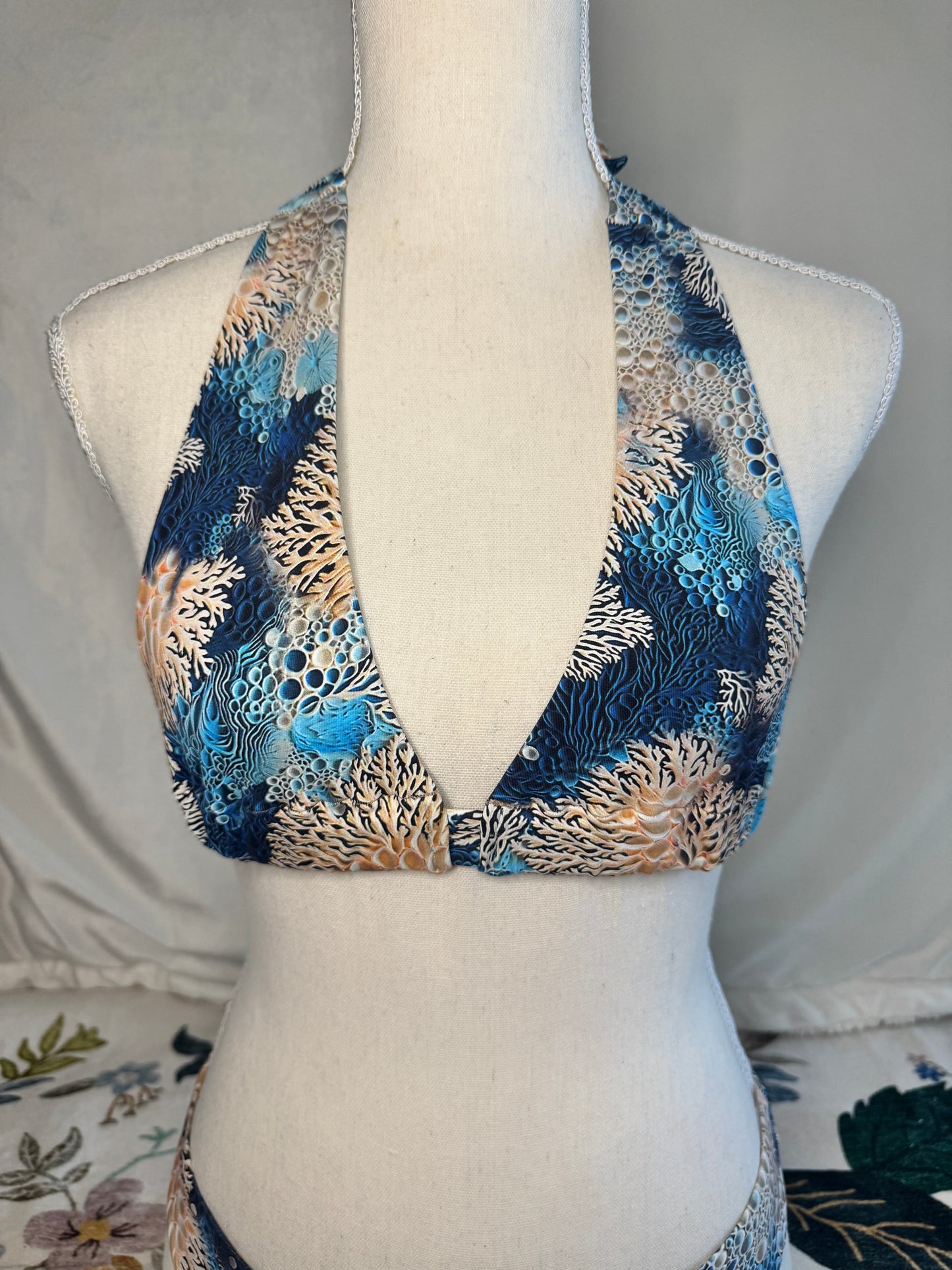 Coral Reef Top